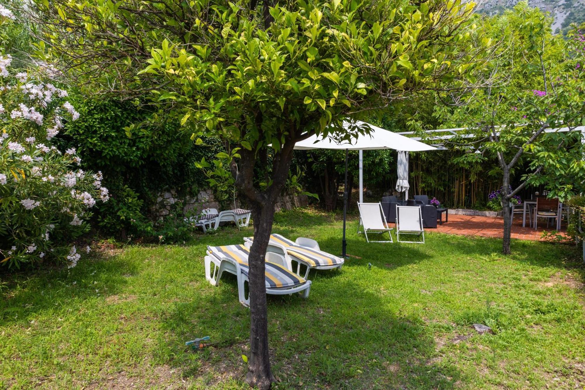 Apartments Mare Mlini Cameră foto